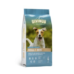 Divinus Adult mini dla ras małych 4kg