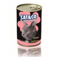 Mokre karmy dla kotów - najlepsze puszki i saszetki sklep