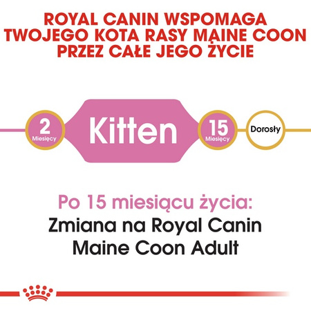 Royal Canin Maine Coon Kitten karma sucha dla kociąt, do 15 miesiąca, rasy maine coon 400g