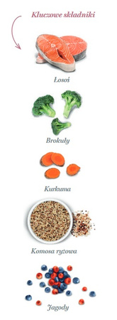 Amanova Cat Sterilised Salmon Deluxe - łosoś 6kg