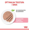 Royal Canin Kitten pasztet (loaf) karma mokra dla kociąt do 12 miesiąca życia saszetka 85g
