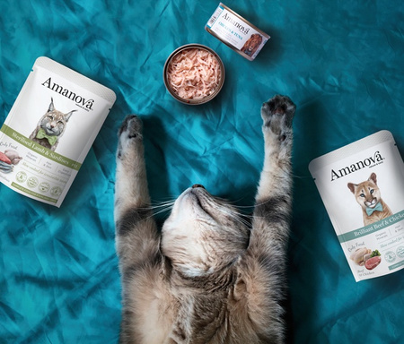 Amanova Cat Chicken & Tuna - kurczak i tuńczyk w bulionie puszka 70g [05]