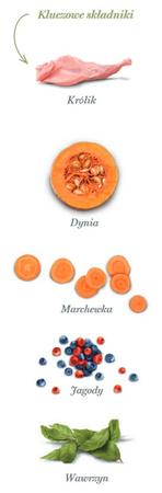 Amanova Dog Adult Digestive Divine Rabbit - królik 10kg