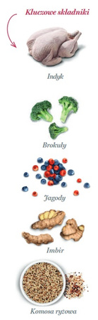 Amanova Dog Adult Obesity Turkey Delight - indyk 2kg