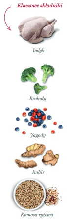 Amanova Dog Adult Mini Obesity Turkey Delight - indyk 2kg