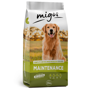 Migos Maintenance 20kg